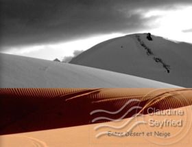 entre desert et neige