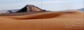 Bivouac