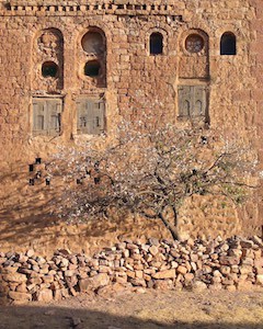 Photographe de voyage